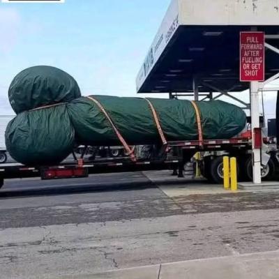 Bizarre Truck Load Sparks Online Frenzy at Gas Station